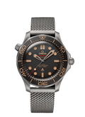 Seamaster CO‑AXIAL MASTER CHRONOMÈTRE 42 MM